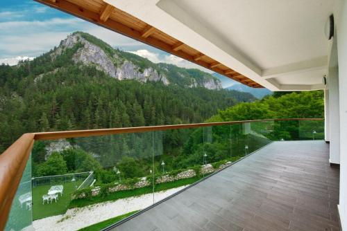 Foto dalla galleria di Resort David a Rucăr