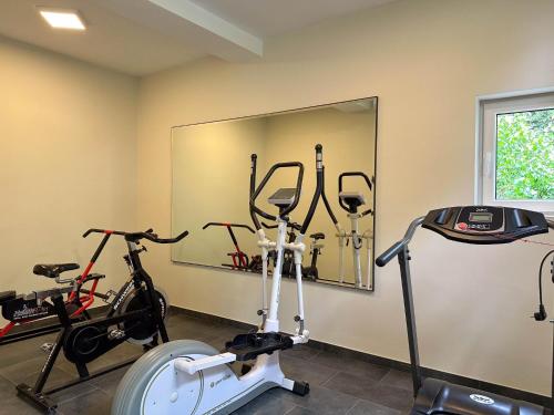 a gym with three exercise bikes and a mirror at Bronzigt in Sluiskil