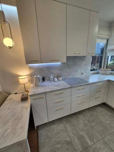 Kuchyň nebo kuchyňský kout v ubytování Siedlisko nad Drwęcą z jacuzzi i siłownią