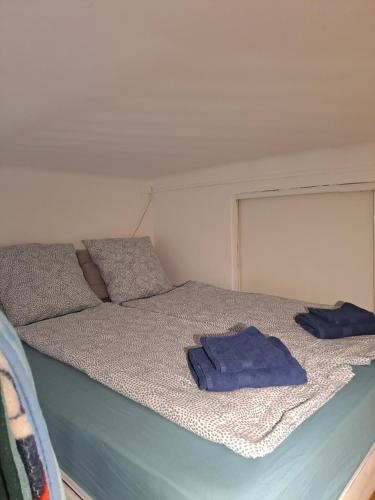 un lit avec deux oreillers bleus dessus dans l'établissement Dominik, à Villejuif