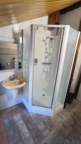 a bathroom with a shower and a sink at Le Doux Rivage, proche de Charleville, jardin et accès à la voie verte in Joigny-sur-Meuse