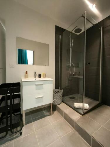 une salle de bain avec une douche, un lavabo et un comptoir dans l'établissement Bel Appt-Quartier des halles-2 Pers-Animal accepté, à Pau