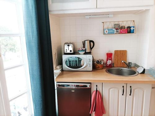 un comptoir de cuisine avec un évier et un micro-ondes dans l'établissement Le magnifique en plein centre historique, au Mans