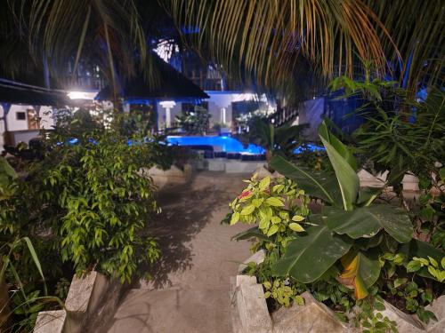 a view of a beach with a bunch of plants at The New Blue Waves Hotel in Jambiani