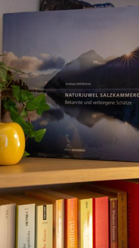 Die Bibliothek in der Ferienwohnung