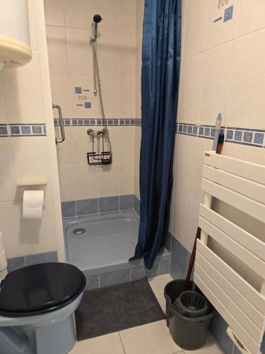 une salle de bain avec toilettes et douche dans l'établissement Olivier, au Lavandou