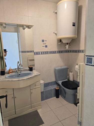 une salle de bain avec des toilettes bleues et un lavabo dans l'établissement Olivier, au Lavandou