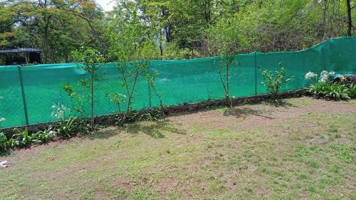 a green fence with plants in a garden at Mauli Stays in Pali