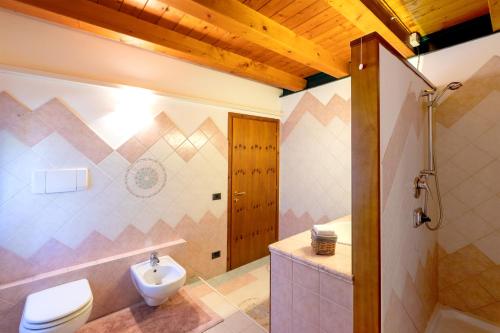 a bathroom with a toilet and a sink and a shower at B&B Antico Borgo Marcemigo in Tregnago