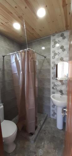 a bathroom with a toilet and a sink at Guest House Brili in Ghebi