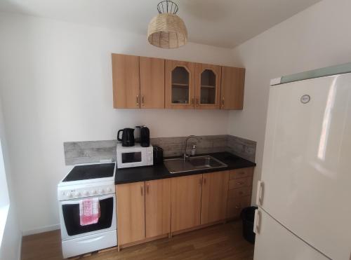 La cuisine est équipée d'une cuisinière, d'un évier et d'un réfrigérateur. dans l'établissement L'Ecrin d'Emile - Grand Studio Meublé au Calme, à Courpière