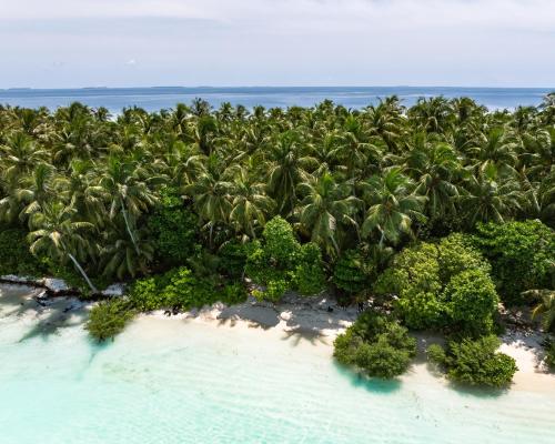 an aerial view of a tropical island with palm trees at Isla Retreat in Fehendhoo