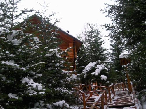 a log cabin with snow on the trees at Gostynniy Dvir in Forest Коттеджи in Migovo