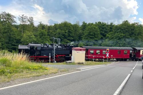 a train on the side of a road next to a street at Ferienwohnung Emma in Ballenstedt