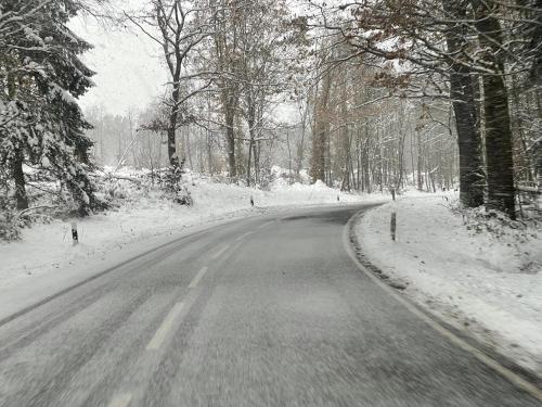 a road covered in snow with trees on it at Ferienwohnung Emma in Ballenstedt