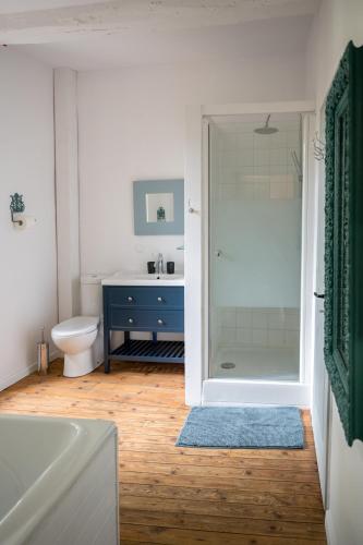une salle de bain avec une douche, des toilettes et un lavabo dans l'établissement Charming La Maison Des Artistes near Bergerac, à Conne-de-Labarde