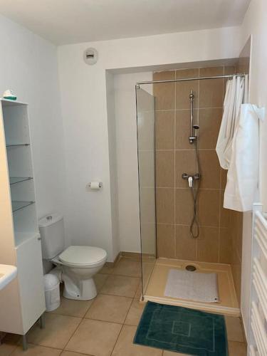 une salle de bain avec douche et toilettes dans l'établissement Appartement ,500m de la mer, à Santa-Maria-Poggio