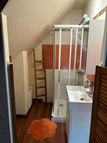 une salle de bain avec douche et lavabo dans l'établissement Hebergement plaisant, à Gurgy