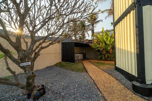 a cat sitting next to a tree next to a building at Flat Studio Alto Padrão em Patos de Minas in Patos de Minas