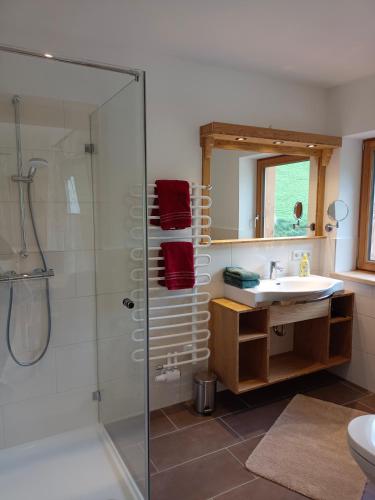 a bathroom with a glass shower and a sink at Chalet Leni in Schladming