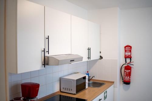 a kitchen with a sink and a microwave at Monteurwohnung mit Top-Anbindung - Atrium in Pfungstadt