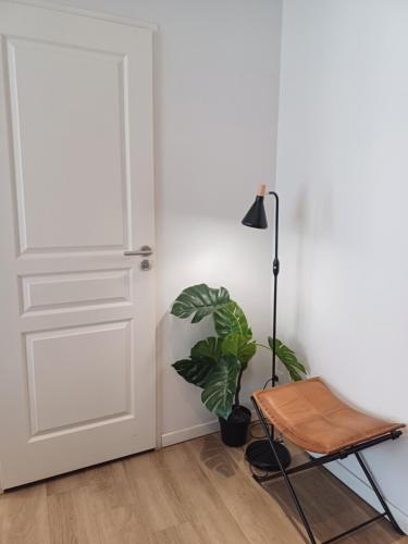 Galeriebild der Unterkunft T2 l'ovalie, 4pers , 4lits, wifi in Agen