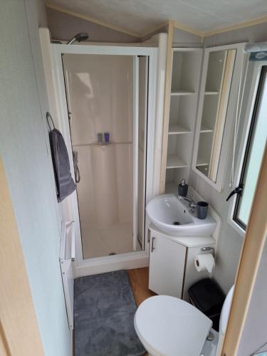 a small bathroom with a shower and a toilet at Newquay Bay Holiday Resort Caravan 142 in Newquay Bay Resort