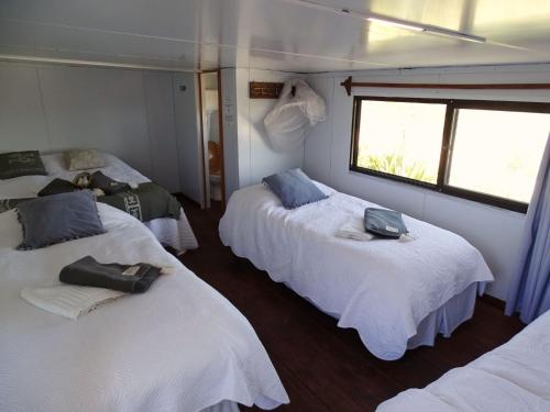 a room with three beds and a window at Carmela Suites Cabo Polonio in Cabo Polonio