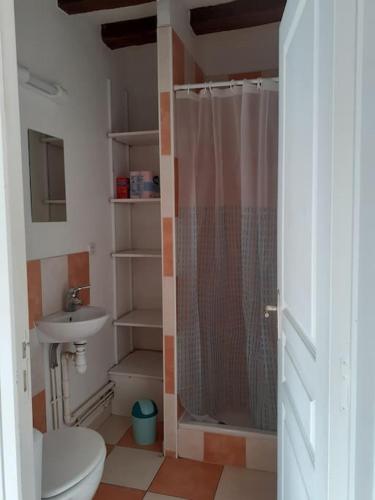 une salle de bain avec une douche, des toilettes et un lavabo dans l'établissement Maison pour 6 personnes, à Villebernier