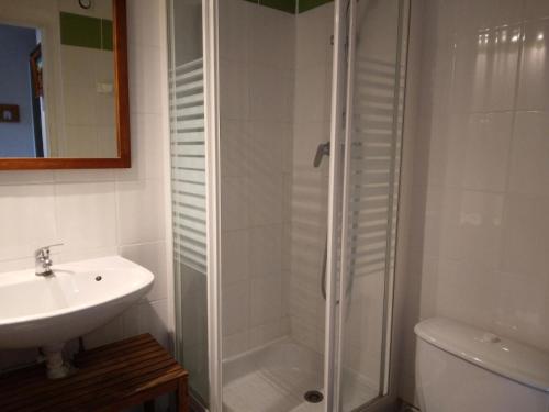 une salle de bain avec douche et lavabo dans l'établissement Résidence Saint Jacques A - Studio pour 2 Personnes 46, à Mâcot La Plagne