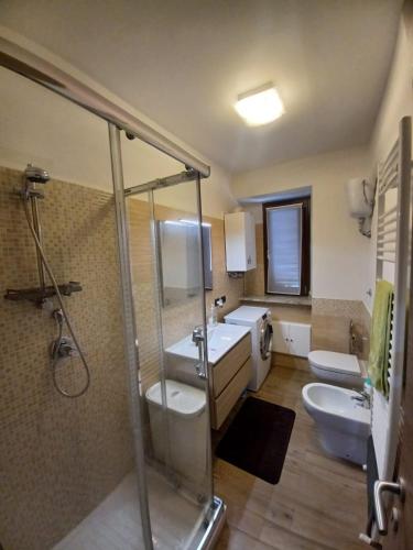 a bathroom with a shower and a sink and a toilet at Casa di Sara in Pescasseroli