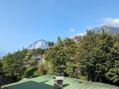 Spacious Room in Tyrolean Flat