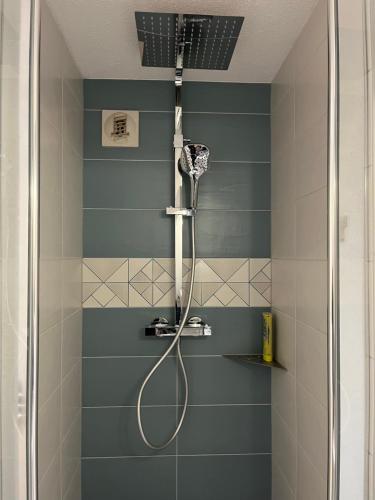 une salle de bain avec une douche avec pommeau de douche dans l'établissement Appartement le grau du roi, au Grau-du-Roi