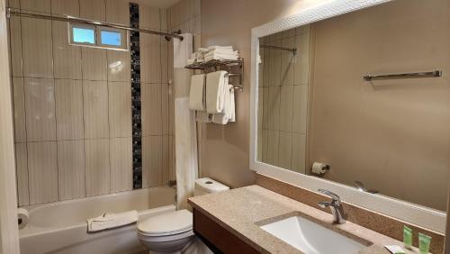 Ένα μπάνιο στο Sahara Courtyard Inn & Suites Osoyoos