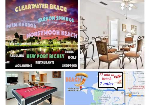 Fotografija v galeriji nastanitve Villa "Impressa" - Billiard,Ping-Pong Table, Lanai, Fire Pit, BBQ Grill, View, Patio, Back Yard v mestu New Port Richey