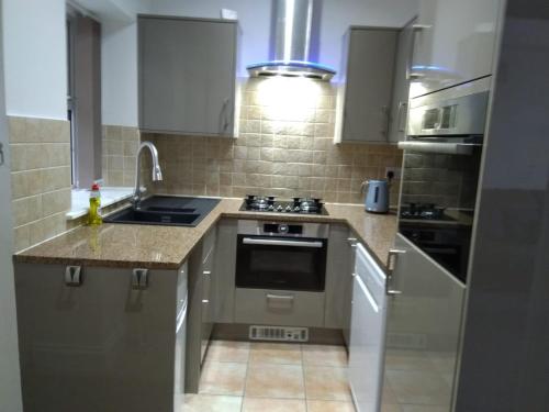 eine Küche mit Spüle und Herd oberen Backofen in der Unterkunft Centrally located, beautifully presented apartment in Torquay