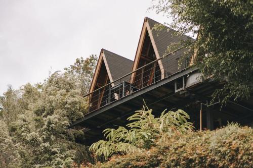 a house on top of a hill with trees at KABINE in El Peñol