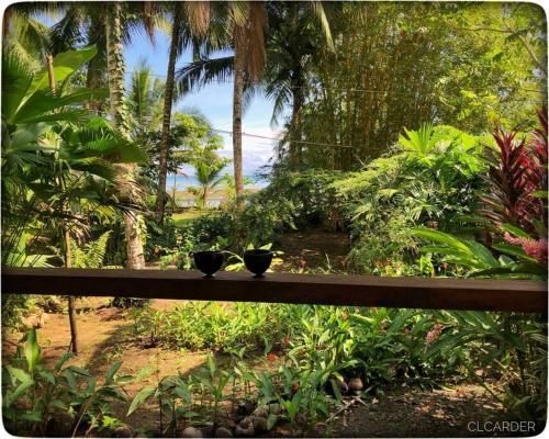 two vases sitting on a wooden railing in a garden at Cabaña Espavé - Arusí, Chocó in Nuquí