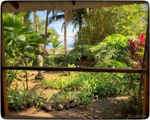 a view from a window of a garden with palm trees at Cabaña Espavé - Arusí, Chocó in Nuquí