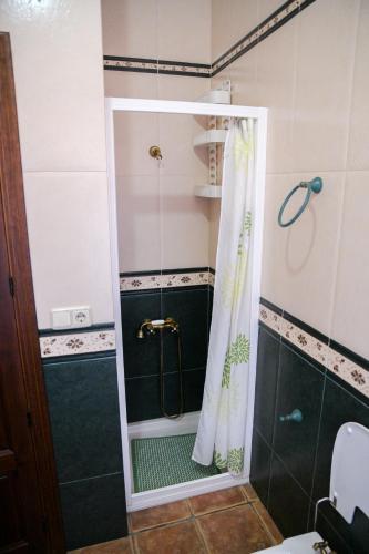 a shower with a glass door in a bathroom at Casa Rural LA ENCINA in Hornachuelos