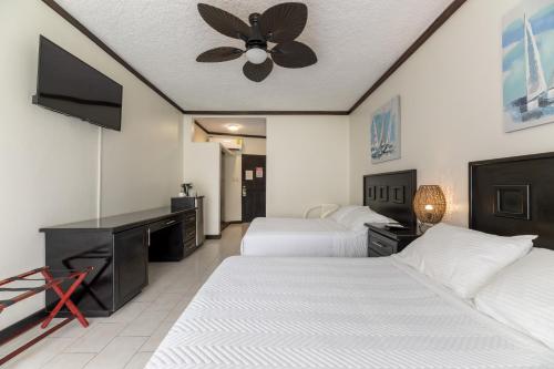 ハコにあるHotel & Villas Tangeríのベッド2台、天井ファンが備わる客室です。
