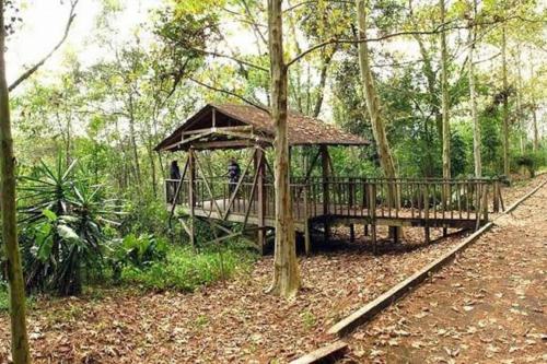 ハラパにあるCasita Bosque Brionesの森の中の木造台