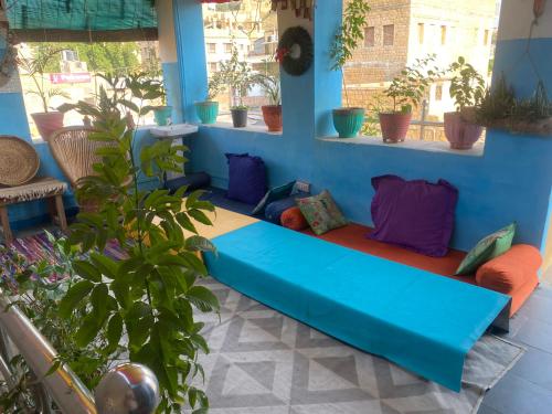 a blue couch in a room with potted plants at Blue Eye Hostel in Jaisalmer