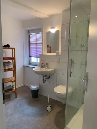 a bathroom with a sink and a toilet and a shower at Fachwerk und Moderne - gemütliche Ferienwohnung in Wolfhagen