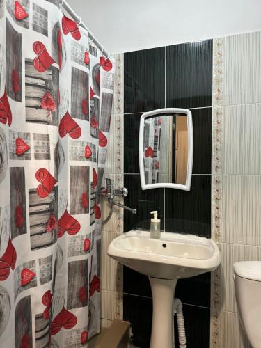 a bathroom with a sink and a shower curtain with red hearts at Гостиница Kokshe Inn in Kokshetau
