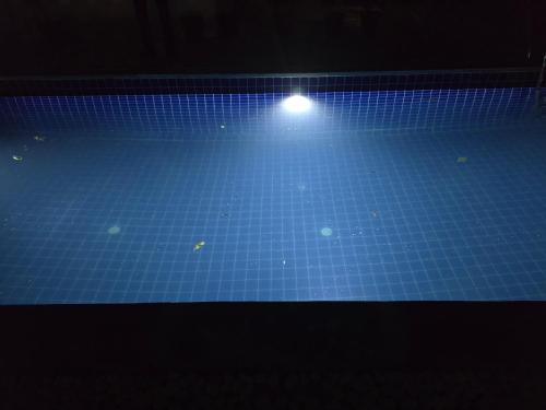 a blue tiled swimming pool with a light in it at Yellow Bells in Udaipur