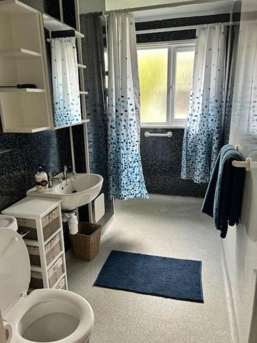 a bathroom with a toilet and a sink at One Bedroom Bungalow Loanhead, Midlothian, Nr Edinburgh in Loanhead