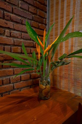 a vase with a plant in it on a table at Eliyanth Udawalawe in Udawalawe