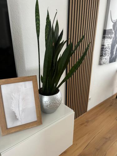 a plant in a vase on a dresser next to a picture at Ferienhaus Sauerland - Traum in Winterberg