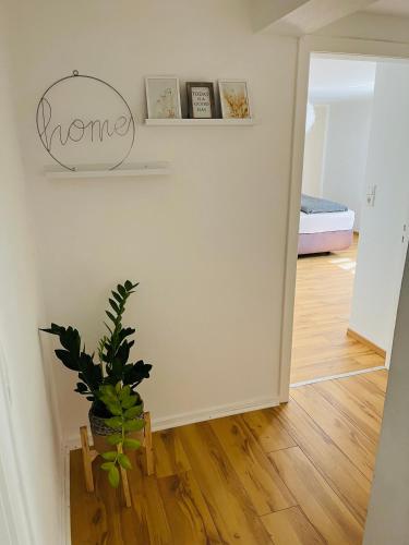 a room with a potted plant on a wooden floor at Ferienhaus Sauerland - Traum in Winterberg